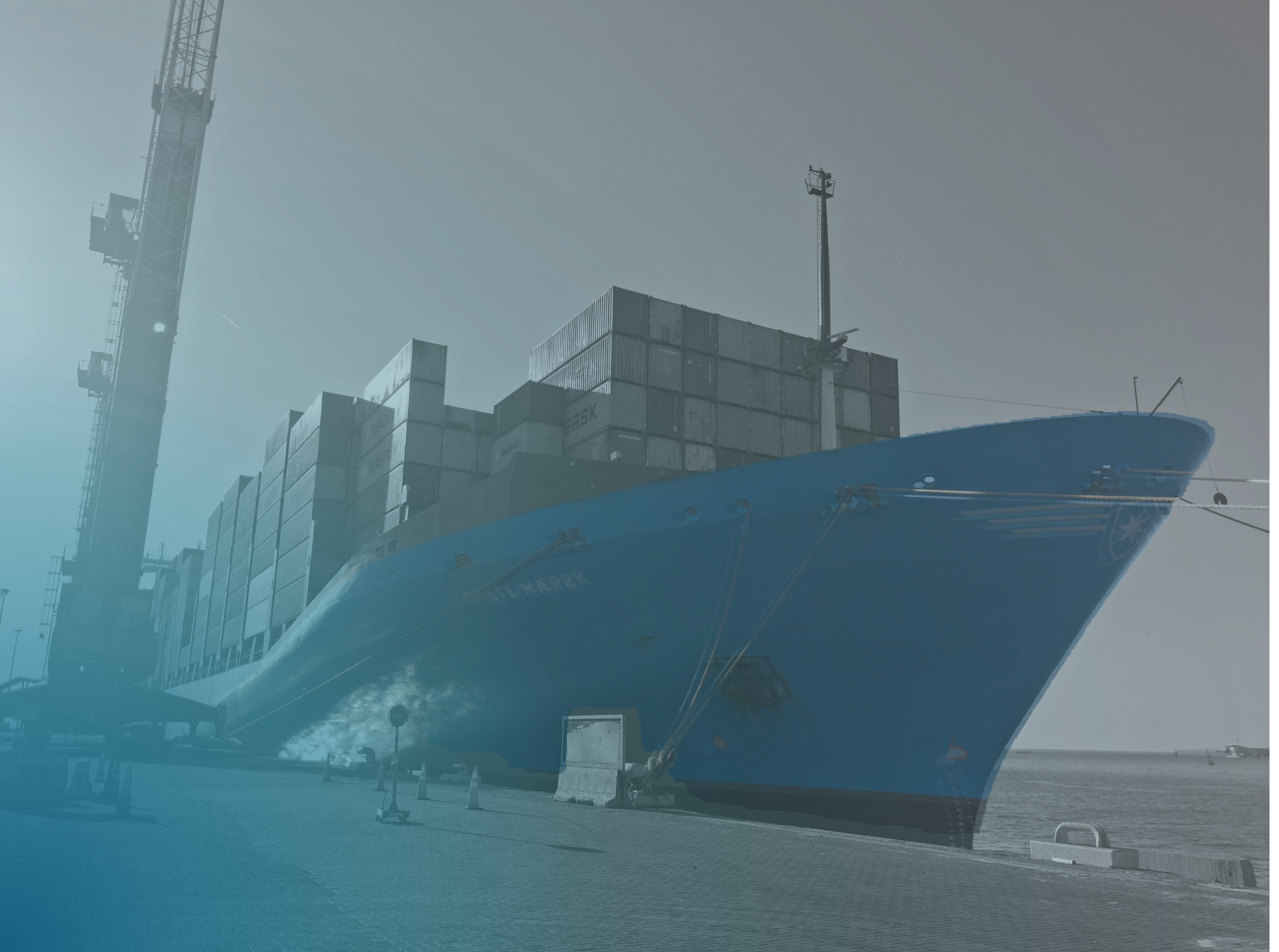 International Trade